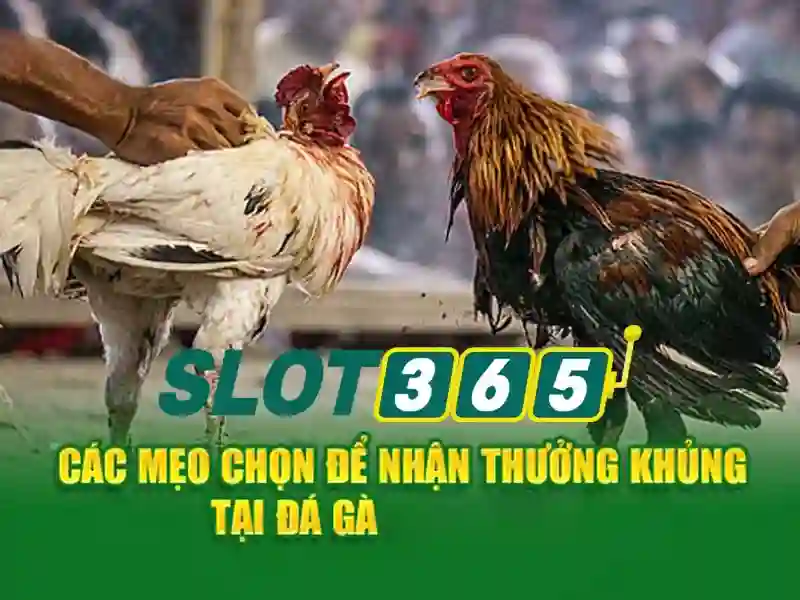slot365_catalog