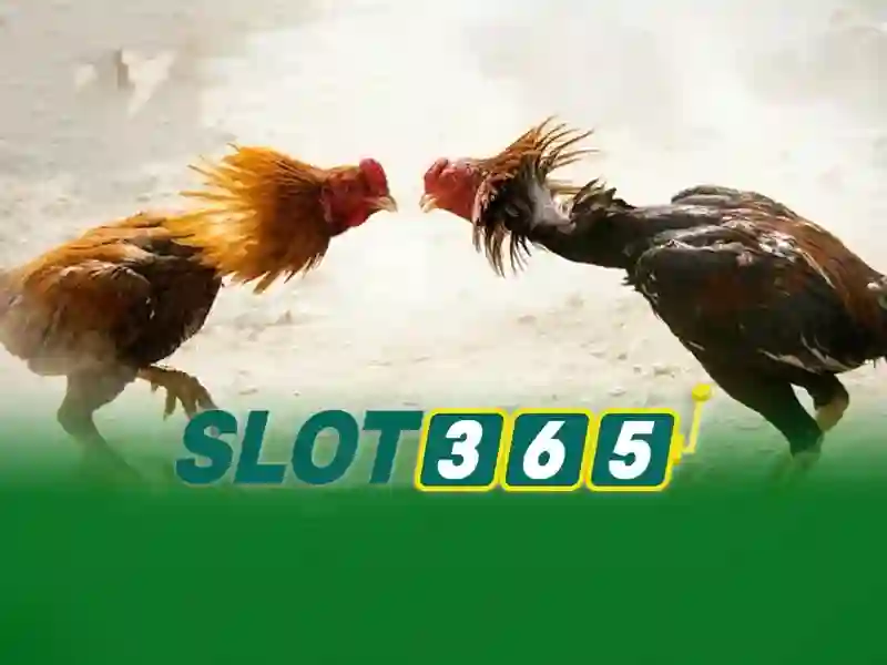 Slot365: Khám phá thế giới trò chơi xèng trực tuyến hàng đầu