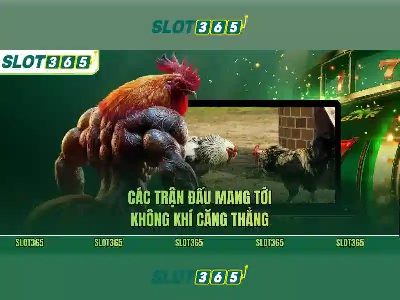 Slot365 free – Trải nghiệm tối ưu và tải app ios