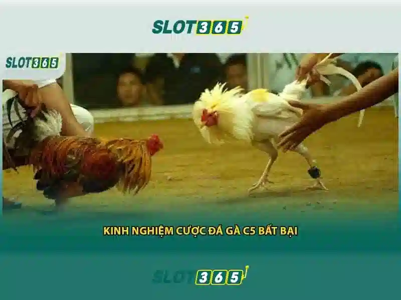 Trải nghiệm người dùng và giao diện thân thiện