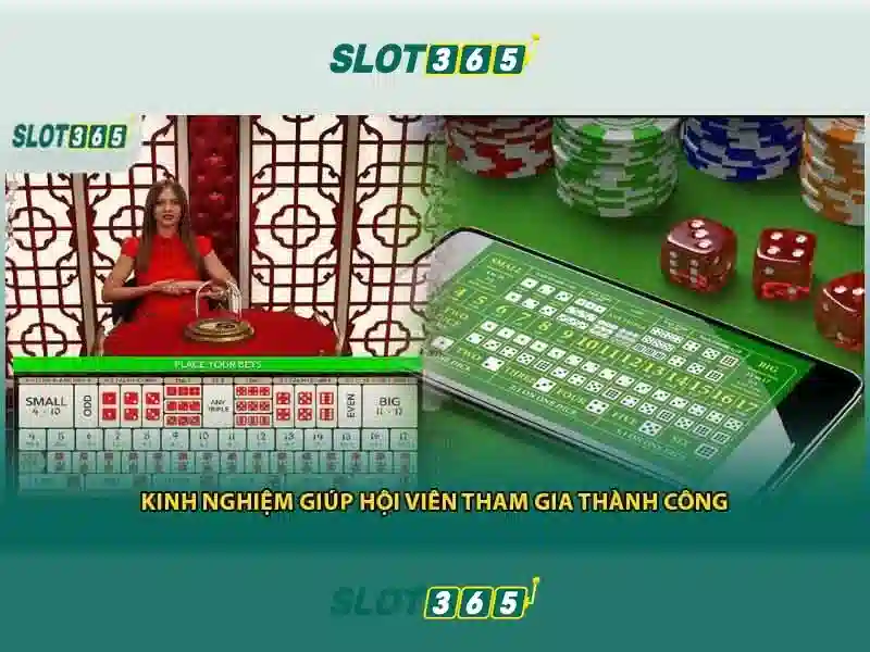 Tính năng và trải nghiệm người dùng