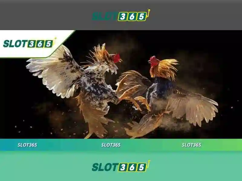 Slot365 — Đánh giá và hướng dẫn chơi