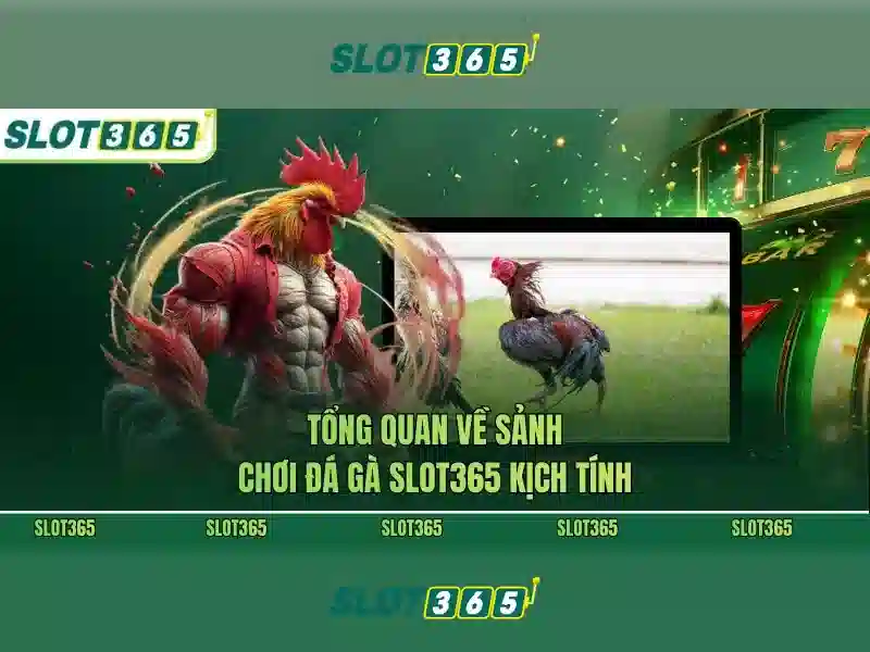 Sản phẩm và Dịch vụ chính: ứng dụng slot365 tải app