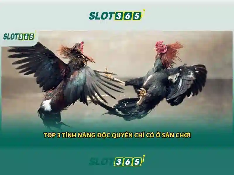 rtp slot365 – chủ đề tổng quan và giá trị cốt lõi