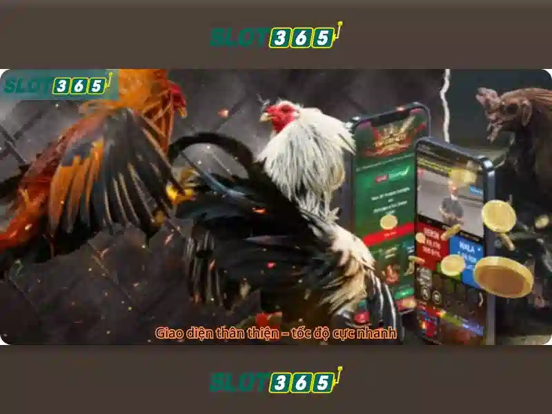 Core sản phẩm và dịch vụ: Ứng dụng thực tế liên quan slot365 ap