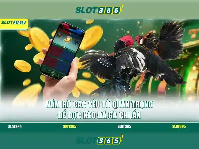 Slot365: Khám phá nền tảng chơi slot trực tuyến đỉnh cao