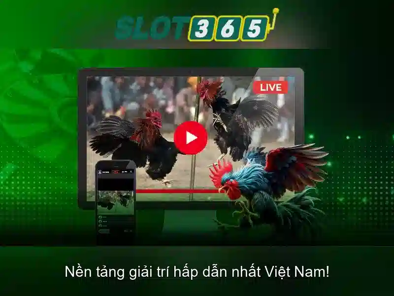 Trải nghiệm người dùng và tương tác di động