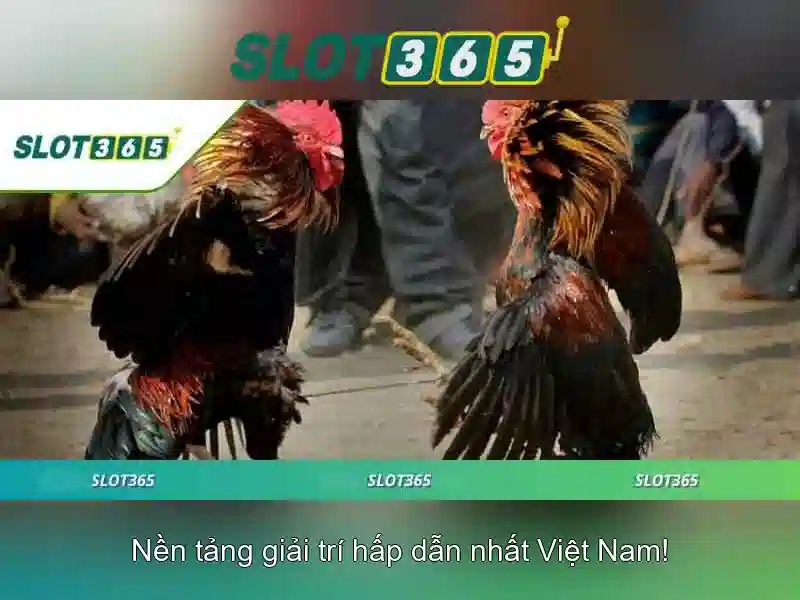 Lý do người chơi chọn Slot365