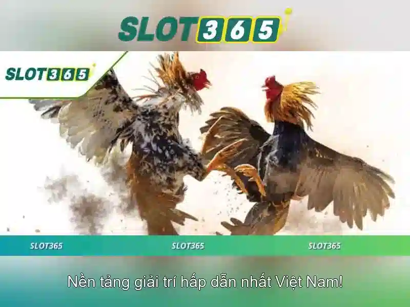 Slot365 - Khám phá thế giới máy xèng trực tuyến