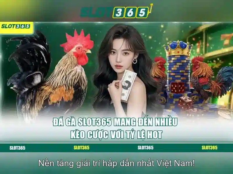 Nguồn gốc và sứ mệnh của slot365