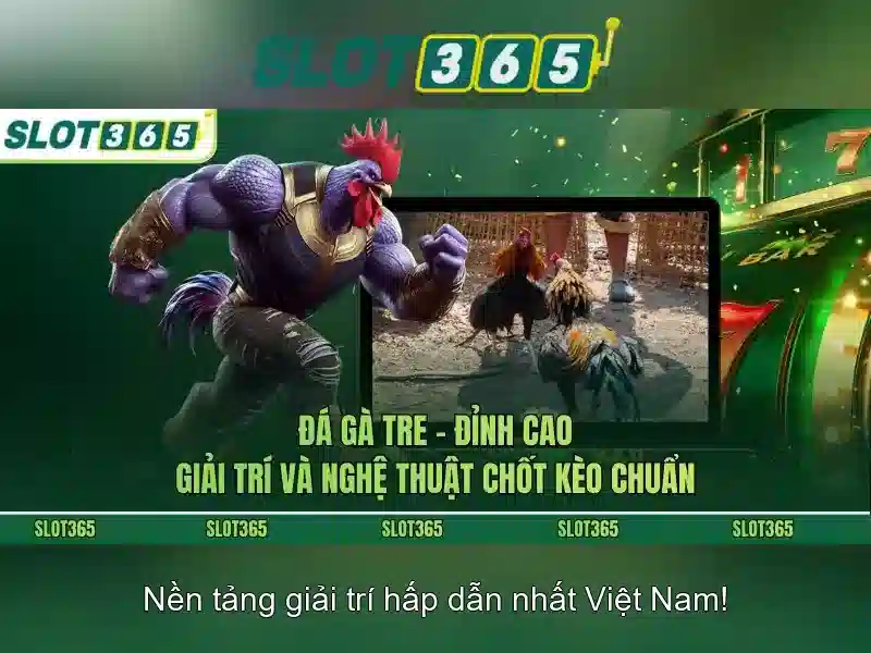 Bảo mật và thanh toán tại Slot365