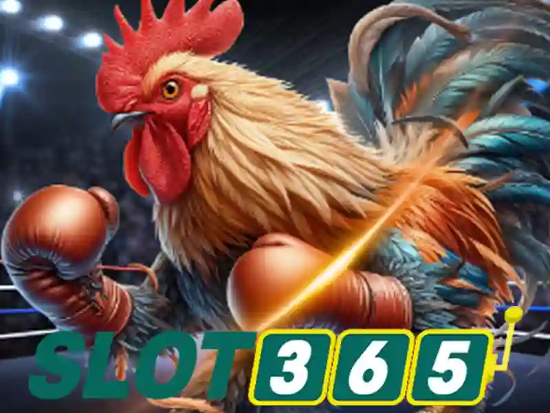 Slot365 và trải nghiệm quay slot hàng đầu